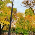 実際訪問したユーザーが直接撮影して投稿した池尻公園世田谷公園の写真