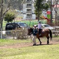 実際訪問したユーザーが直接撮影して投稿した芦田八ケ野遊園地 / テーマパーク白樺リゾート 池の平ファミリーランドの写真