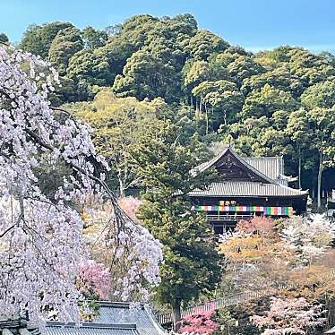 実際訪問したユーザーが直接撮影して投稿した初瀬寺長谷寺の写真