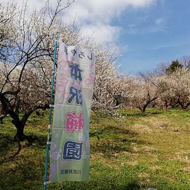 津久井湖城山公園のundefinedに実際訪問訪問したユーザーunknownさんが新しく投稿した新着口コミの写真