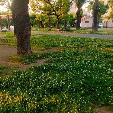 実際訪問したユーザーが直接撮影して投稿した櫛屋町西公園戎公園(ザビエル公園)の写真