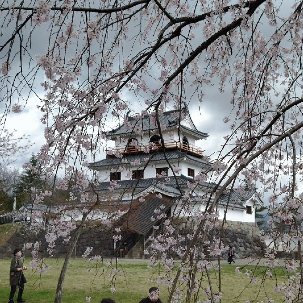 tabimaruさんが投稿した益岡町桜の名所のお店白石城本丸広場の桜/シロイシジョウホンマルヒロバノサクラの写真