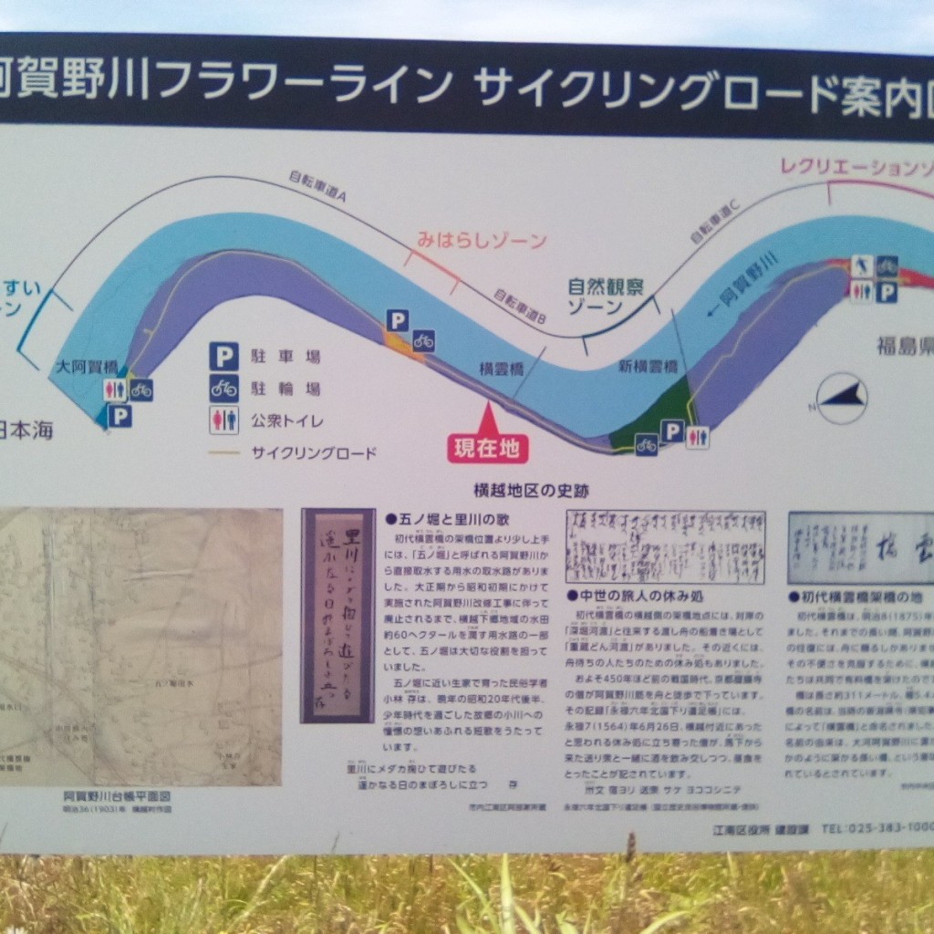 実際訪問したユーザーが直接撮影して投稿した沢海公園阿賀野川フラワーラインの写真