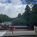 実際訪問したユーザーが直接撮影して投稿した隼人町西光寺神社霧島神社の写真