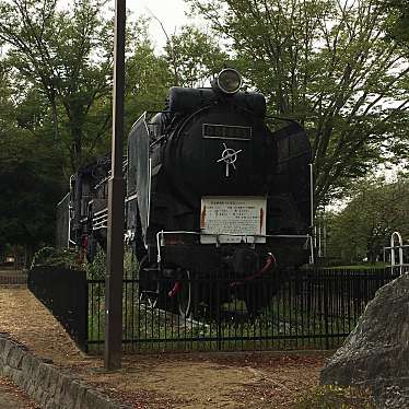 実際訪問したユーザーが直接撮影して投稿した上野台公園仙元山公園の写真