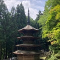 実際訪問したユーザーが直接撮影して投稿した別所温泉寺安楽寺の写真