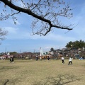 実際訪問したユーザーが直接撮影して投稿した南新町公園日和山公園の写真