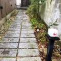 実際訪問したユーザーが直接撮影して投稿した中通居酒屋ん。の写真