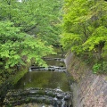 実際訪問したユーザーが直接撮影して投稿した吉野町庭園仙巌園の写真