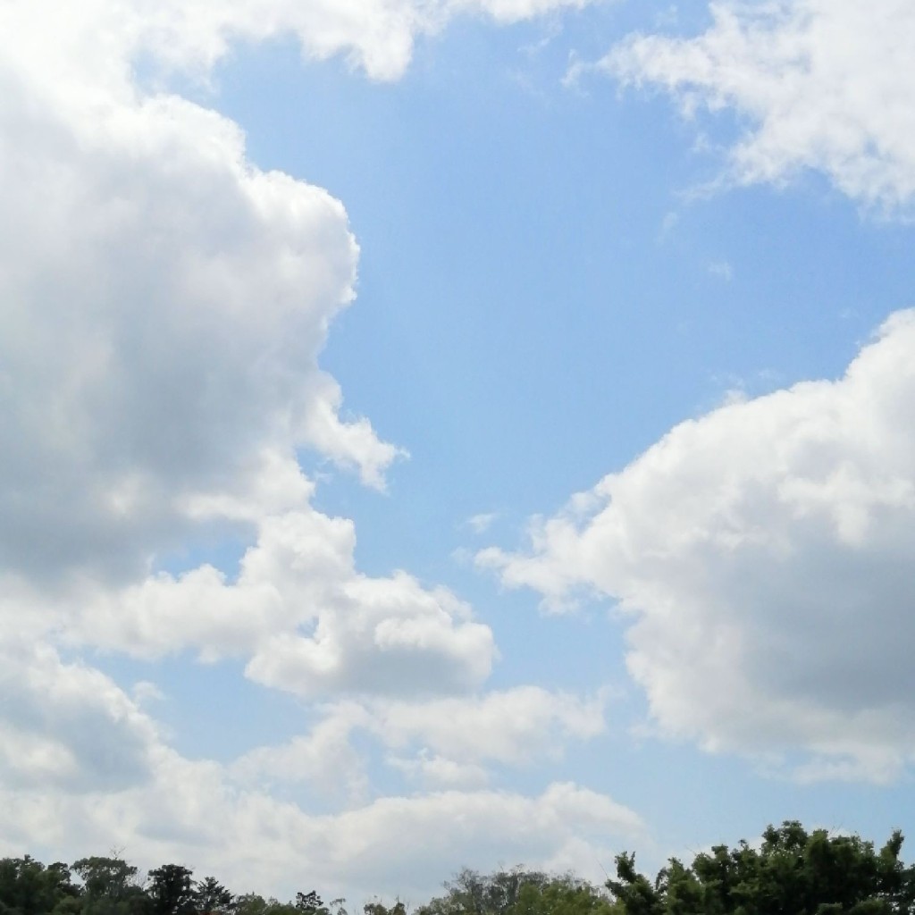 実際訪問したユーザーが直接撮影して投稿した天神地域名所長岡天満宮 正面大鳥居の写真