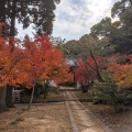 実際訪問したユーザーが直接撮影して投稿した西小路町寺天祐寺の写真