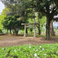 実際訪問したユーザーが直接撮影して投稿した結城公園城跡歴史公園の写真