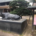 実際訪問したユーザーが直接撮影して投稿した天神町神社白潟天満宮の写真