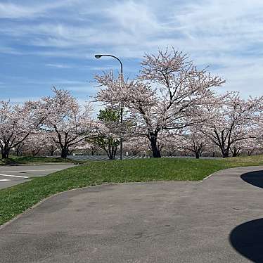 戸田記念墓地公園のundefinedに実際訪問訪問したユーザーunknownさんが新しく投稿した新着口コミの写真