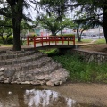 実際訪問したユーザーが直接撮影して投稿した浅江公園西河原緑地の写真