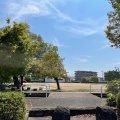 実際訪問したユーザーが直接撮影して投稿した鯰公園嘉島近隣公園の写真