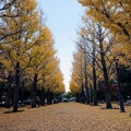 実際訪問したユーザーが直接撮影して投稿した二の宮公園茨城県営洞峰公園の写真