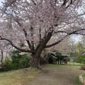 実際訪問したユーザーが直接撮影して投稿した手宮公園手宮公園の写真