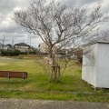 実際訪問したユーザーが直接撮影して投稿した染地台公園富岡公園の写真