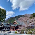 実際訪問したユーザーが直接撮影して投稿した身延寺日蓮宗総本山 身延山久遠寺の写真