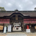 実際訪問したユーザーが直接撮影して投稿した八幡神社大崎八幡宮の写真