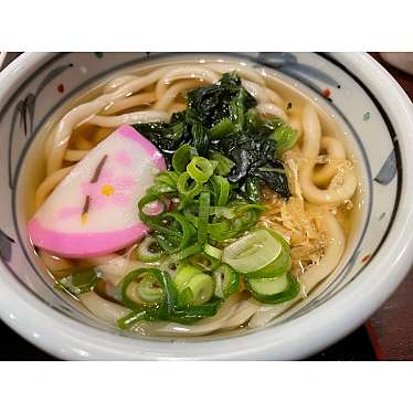 くじら肉さんが投稿した赤石和食 / 日本料理のお店なごみの郷/ナゴミノサトの写真