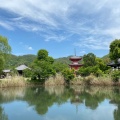 実際訪問したユーザーが直接撮影して投稿した嵯峨大沢町湖沼 / 池大覚寺大沢池の写真