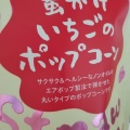 実際訪問したユーザーが直接撮影して投稿した川向町スイーツいちごの里 JR宇都宮駅店の写真