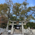 実際訪問したユーザーが直接撮影して投稿した西則末町神社烏須井八幡神社の写真