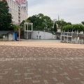 実際訪問したユーザーが直接撮影して投稿した茅ケ崎中央公園すきっぷ広場の写真