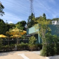 実際訪問したユーザーが直接撮影して投稿した山田町小部カフェ神戸養蜂場の写真