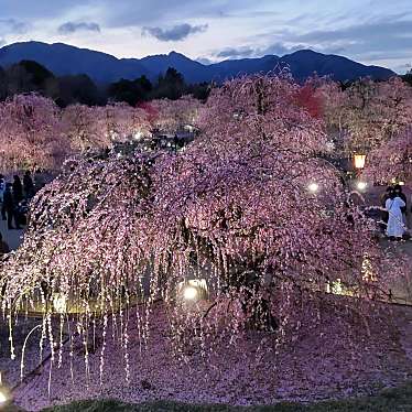 鈴鹿の森庭園のundefinedに実際訪問訪問したユーザーunknownさんが新しく投稿した新着口コミの写真