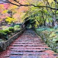 実際訪問したユーザーが直接撮影して投稿した百済寺町寺百済寺の写真