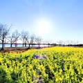 実際訪問したユーザーが直接撮影して投稿した則貞公園ときわ公園の写真