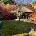 実際訪問したユーザーが直接撮影して投稿した山ノ内寺長寿寺の写真