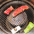 実際訪問したユーザーが直接撮影して投稿した太田肉料理庄花亭の写真