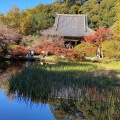 実際訪問したユーザーが直接撮影して投稿した柳本町寺長岳寺の写真