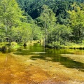 実際訪問したユーザーが直接撮影して投稿した安曇湖沼 / 池田代池の写真