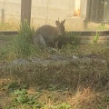 実際訪問したユーザーが直接撮影して投稿した綾羽公園五月山公園の写真