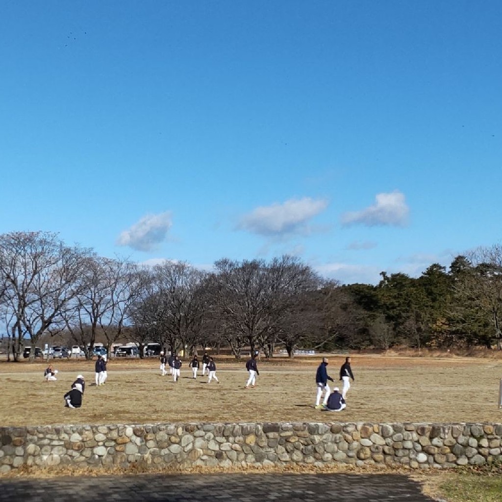 実際訪問したユーザーが直接撮影して投稿した祖父江町祖父江公園木曽三川公園の写真