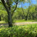 実際訪問したユーザーが直接撮影して投稿した平和公園公園平和公園の写真