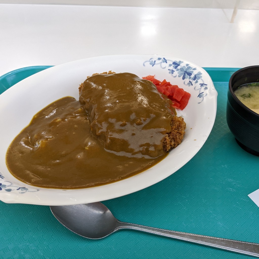 ユーザーが投稿したカツカレーの写真 - 実際訪問したユーザーが直接撮影して投稿した台場ラーメン / つけ麺ラ・ポルトの写真