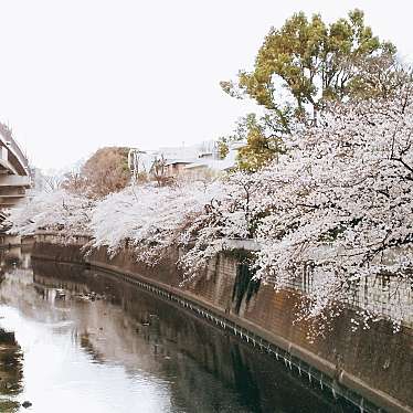 実際訪問したユーザーが直接撮影して投稿した関口公園江戸川公園の写真