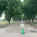 実際訪問したユーザーが直接撮影して投稿した鶴間公園鶴間公園の写真