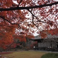 実際訪問したユーザーが直接撮影して投稿した勧修寺仁王堂町寺勧修寺の写真