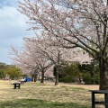 実際訪問したユーザーが直接撮影して投稿した寺尾町公園観音山ファミリーパークの写真