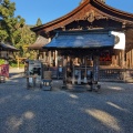 実際訪問したユーザーが直接撮影して投稿した一宮しなね神社土佐神社の写真