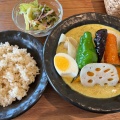 とりやさい - 実際訪問したユーザーが直接撮影して投稿した利田スープカレーカレー食堂 コロポの写真のメニュー情報