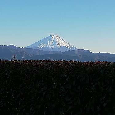 ミルクティーとキャラメル珈琲さんが投稿した粟倉山 / 峠のお店富士山/フジサンの写真