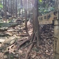 実際訪問したユーザーが直接撮影して投稿した木本町山 / 峠松本峠の写真